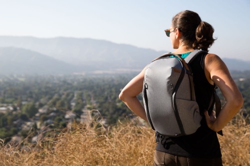 PEAK DESIGN Plecak Everyday Backpack 15L Zip - Popielaty