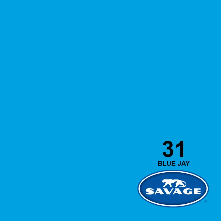 blue jay 31.jpg
