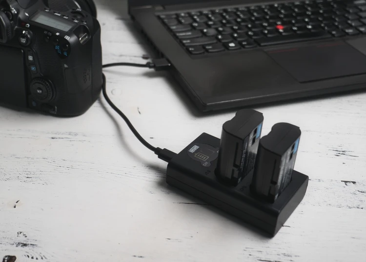Ładowarka dwukanałowa Newell DL-USB-C do akumulatorów DMW-BLJ31 Panasonic S1