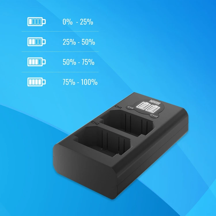 Ładowarka dwukanałowa Newell DL-USB-C do akumulatorów DMW-BLJ31 Panasonic S1