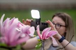 Lampka LED do smartfona Newell Sunny
