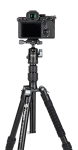 Statyw Fotopro X-go Gecko E2 z głowicą kulową FPH-42QP