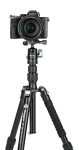 Statyw Fotopro X-go Gecko E2 z głowicą kulową FPH-42QP