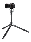Statyw Fotopro X-go Gecko E2 z głowicą kulową FPH-42QP
