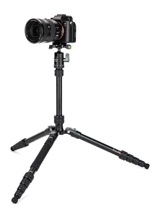 Statyw Fotopro X-go Gecko E2 z głowicą kulową FPH-42QP