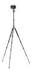 Statyw Fotopro X-go Gecko E2 z głowicą kulową FPH-42QP