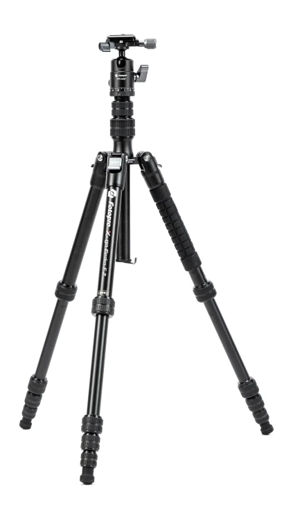 Statyw Fotopro X-go Gecko E2 z głowicą kulową FPH-42QP