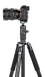 Statyw Fotopro X-go Chameleon E2 z głowicą kulową FPH-52QP