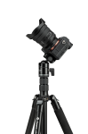 Statyw Fotopro A5i z głowicą kulową FPH-55QS