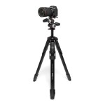 Statyw Manfrotto ONE Photo z głowicą 3-kierunkową XPRO​ (MKONEPA-3W​)