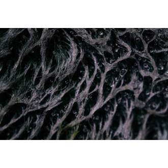 e275533666ca4a3f38596d4dfd117d67