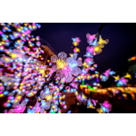a78bee1045a21ff107aa51d71e1a611a
