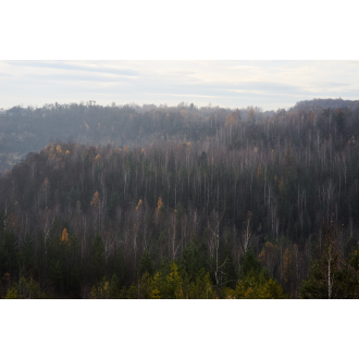 Obiektyw Voigtlander Nokton 75 mm f/1,5 do Leica M - srebrny