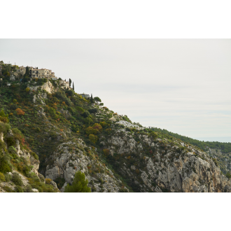 Obiektyw Voigtlander Nokton 75 mm f/1,5 do Leica M - srebrny